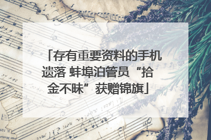 存有重要资料的手机遗落 蚌埠泊管员“拾金不昧”获赠锦旗