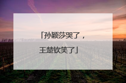 孙颖莎哭了，王楚钦笑了