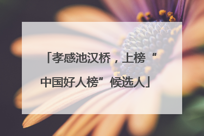 孝感池汉桥，上榜“中国好人榜”候选人