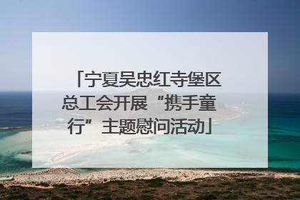 宁夏吴忠红寺堡区总工会开展“携手童行”主题慰问活动