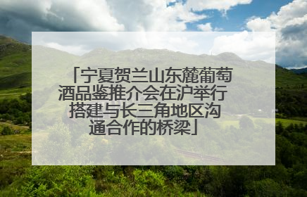 宁夏贺兰山东麓葡萄酒品鉴推介会在沪举行 搭建与长三角地区沟通合作的桥梁