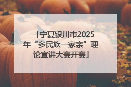 宁夏银川市2025年“多民族一家亲”理论宣讲大赛开赛