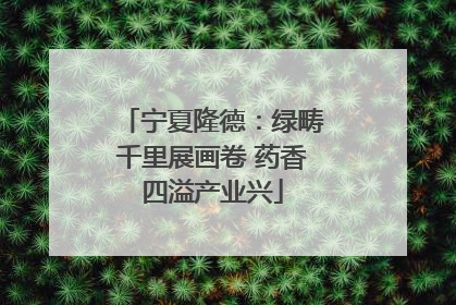 宁夏隆德：绿畴千里展画卷 药香四溢产业兴