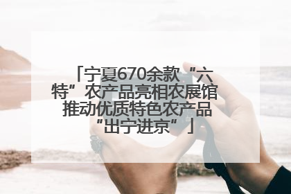 宁夏670余款“六特”农产品亮相农展馆 推动优质特色农产品“出宁进京”