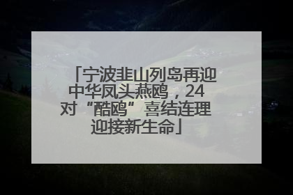宁波韭山列岛再迎中华凤头燕鸥，24对“酷鸥”喜结连理迎接新生命