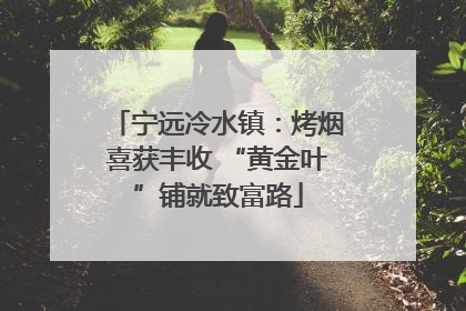 宁远冷水镇：烤烟喜获丰收 “黄金叶”铺就致富路