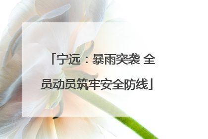 宁远：暴雨突袭 全员动员筑牢安全防线