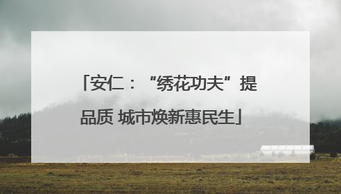 安仁：“绣花功夫”提品质 城市焕新惠民生