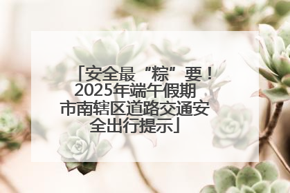 安全最“粽”要！2025年端午假期市南辖区道路交通安全出行提示