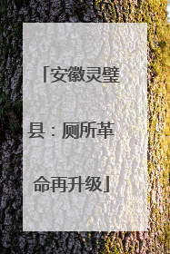 安徽灵璧县：厕所革命再升级