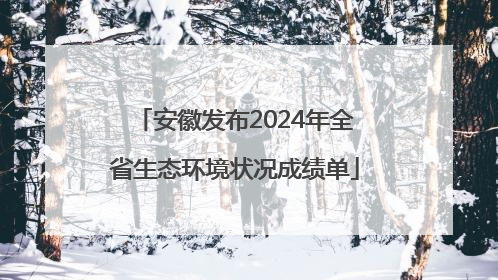 安徽发布2024年全省生态环境状况成绩单