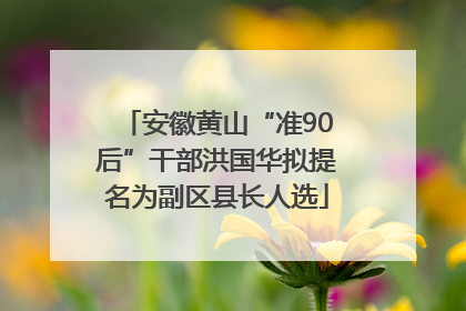 安徽黄山“准90后”干部洪国华拟提名为副区县长人选