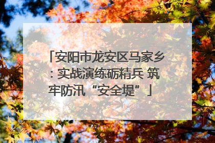 安阳市龙安区马家乡：实战演练砺精兵 筑牢防汛“安全堤”