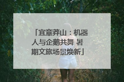 宜章莽山：机器人与企鹅共舞 暑期文旅场景焕新