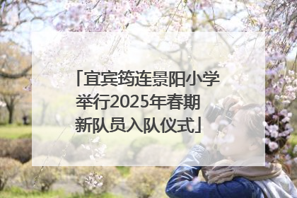 宜宾筠连景阳小学举行2025年春期新队员入队仪式