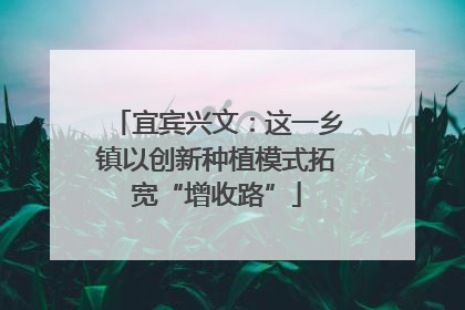 宜宾兴文：这一乡镇以创新种植模式拓宽“增收路”