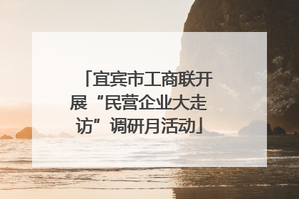 宜宾市工商联开展“民营企业大走访”调研月活动
