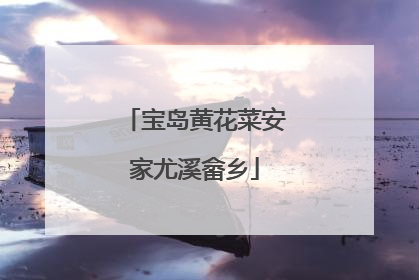 宝岛黄花菜安家尤溪畲乡