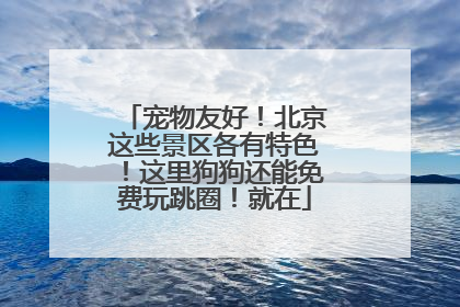 宠物友好！北京这些景区各有特色！这里狗狗还能免费玩跳圈！就在
