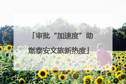 审批“加速度”助燃泰安文旅新热度