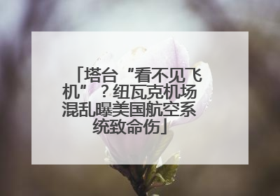 塔台“看不见飞机”？纽瓦克机场混乱曝美国航空系统致命伤
