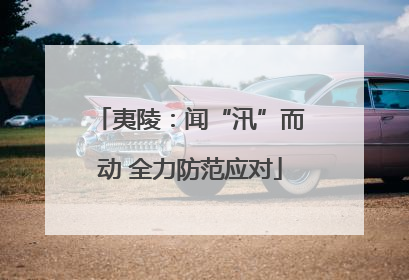 夷陵：闻“汛”而动 全力防范应对