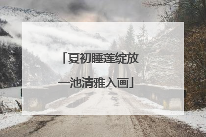 夏初睡莲绽放 一池清雅入画
