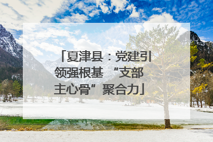 夏津县：党建引领强根基 “支部主心骨”聚合力
