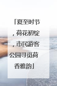 夏至时节，荷花初绽，市民游客公园寻觅荷香雅韵