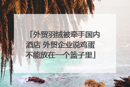 外贸羽绒被牵手国内酒店 外贸企业说鸡蛋不能放在一个篮子里