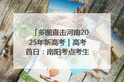 多图直击河南2025年新高考｜高考首日：南阳考点考生信心满满迎战