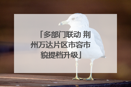 多部门联动 荆州万达片区市容市貌提档升级