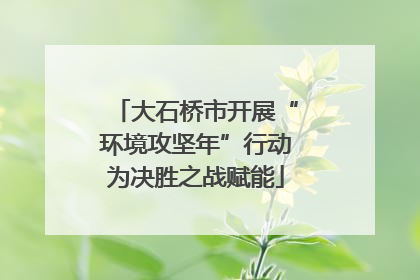 大石桥市开展“环境攻坚年”行动为决胜之战赋能