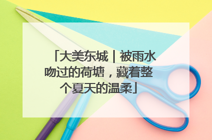大美东城｜被雨水吻过的荷塘，藏着整个夏天的温柔