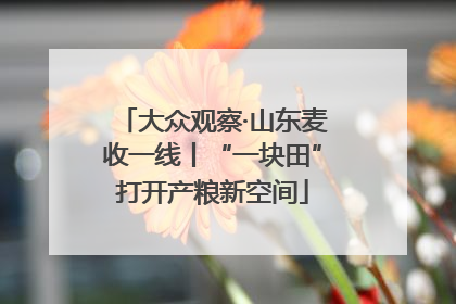 大众观察·山东麦收一线丨“一块田”打开产粮新空间