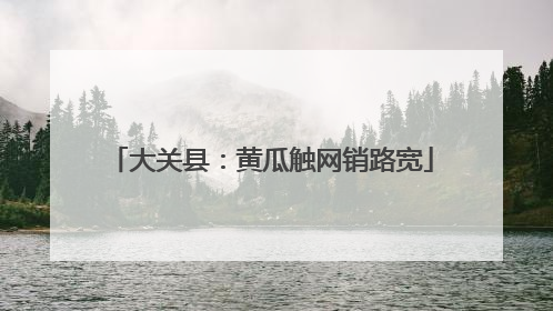 大关县：黄瓜触网销路宽