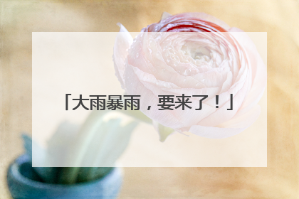 大雨暴雨，要来了！