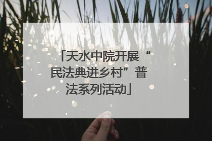 天水中院开展“民法典进乡村”普法系列活动