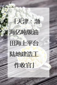 天津：渤海亿吨级油田海上平台陆地建造工作收官