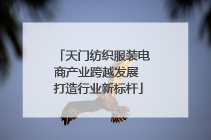 天门纺织服装电商产业跨越发展 打造行业新标杆