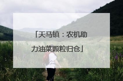 天马镇：农机助力油菜颗粒归仓