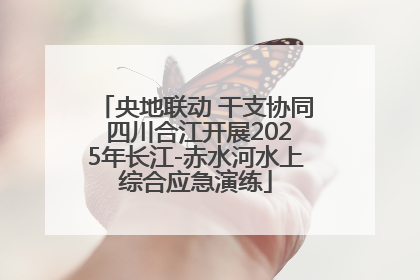 央地联动 干支协同 四川合江开展2025年长江-赤水河水上综合应急演练