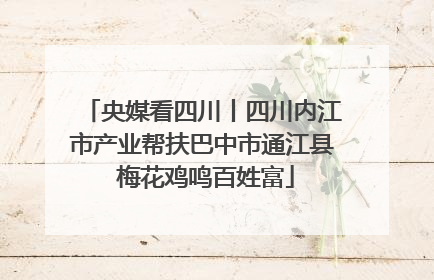 央媒看四川丨四川内江市产业帮扶巴中市通江县 梅花鸡鸣百姓富