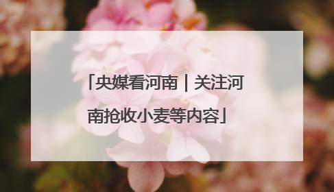 央媒看河南｜关注河南抢收小麦等内容