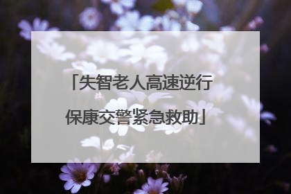 失智老人高速逆行 保康交警紧急救助