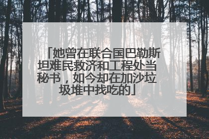 她曾在联合国巴勒斯坦难民救济和工程处当秘书，如今却在加沙垃圾堆中找吃的