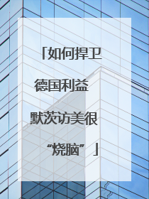如何捍卫德国利益 默茨访美很“烧脑”