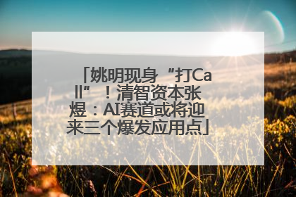 姚明现身“打Call”！清智资本张煜：AI赛道或将迎来三个爆发应用点