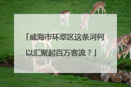 威海市环翠区这条河何以汇聚起百万客流？
