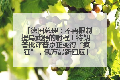 德国总理：不再限制援乌武器的射程！特朗普批评普京正变得“疯狂”，俄方最新回应